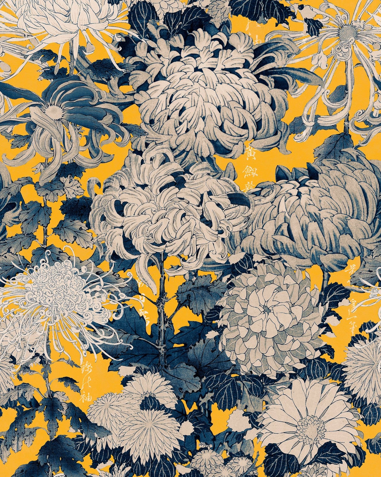 chrysanthemums yellow wallpaper