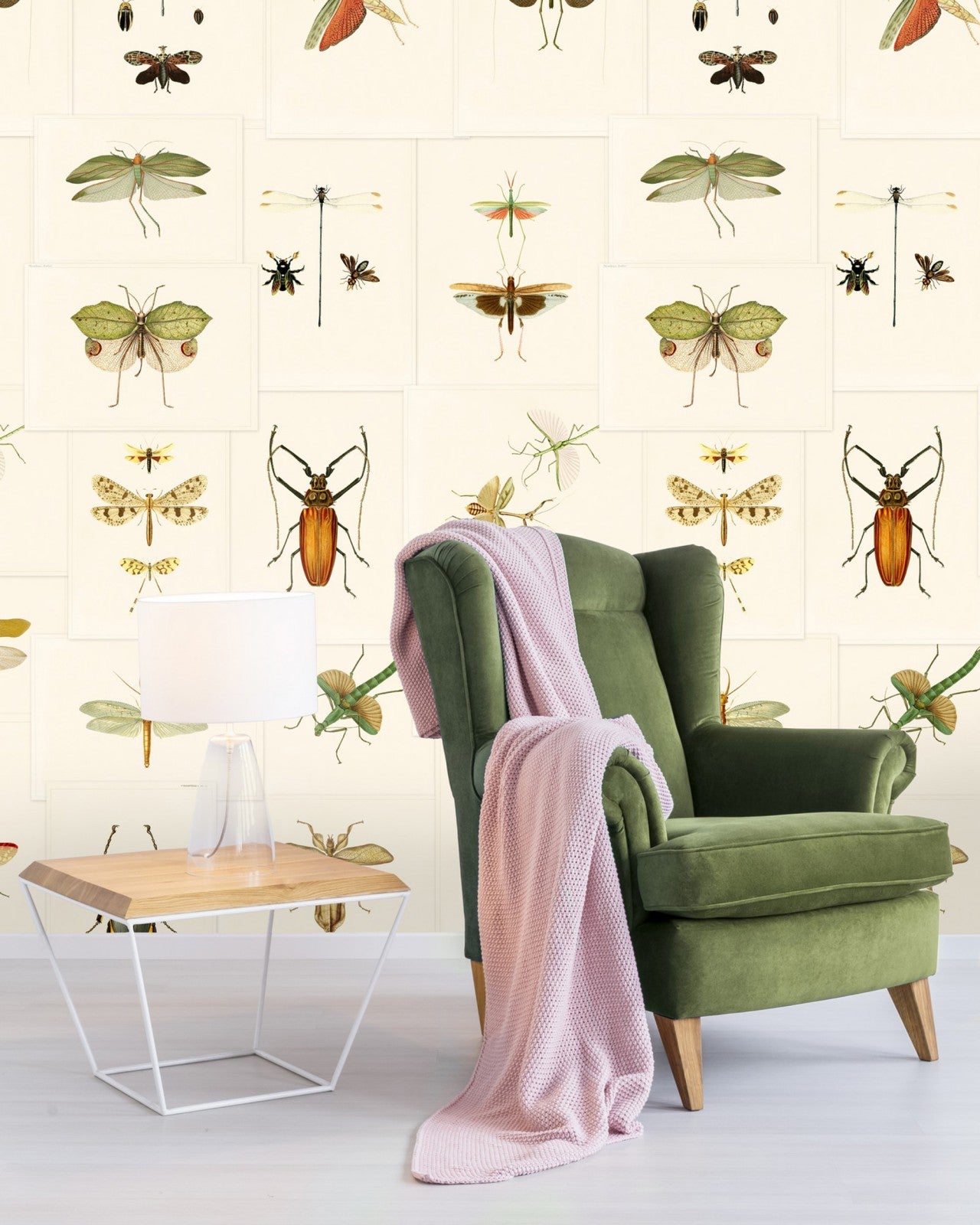 entomology wallpaper