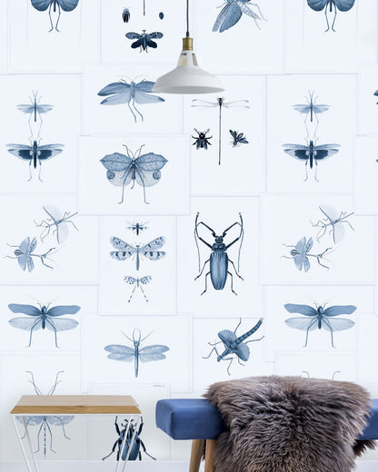 ENTOMOLOGY Blue Wallpaper