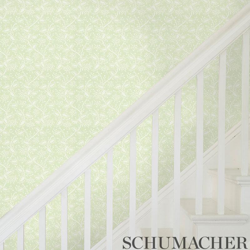 schumacher - darby - 5010180