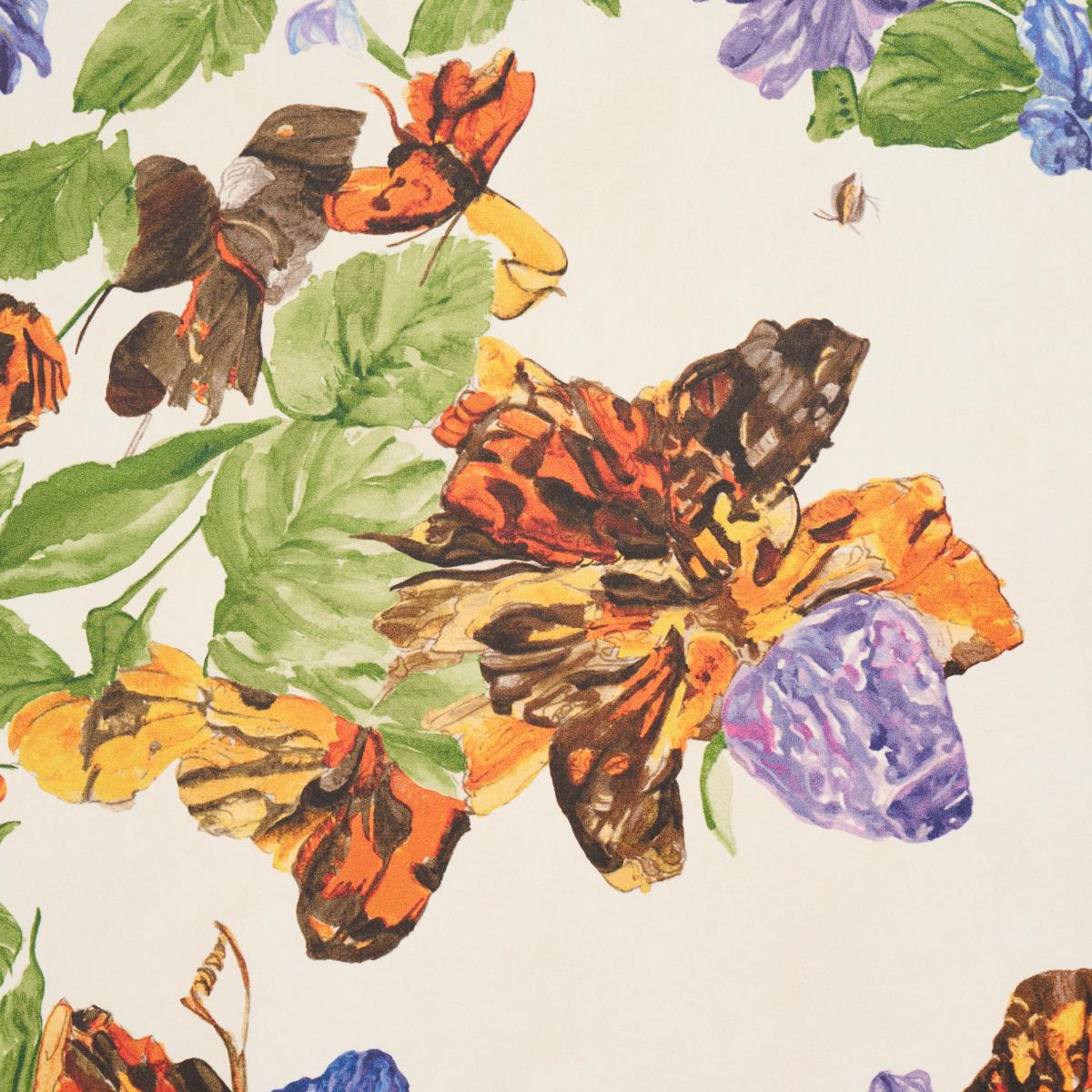 schumacher - pyne butterfly - 5016380