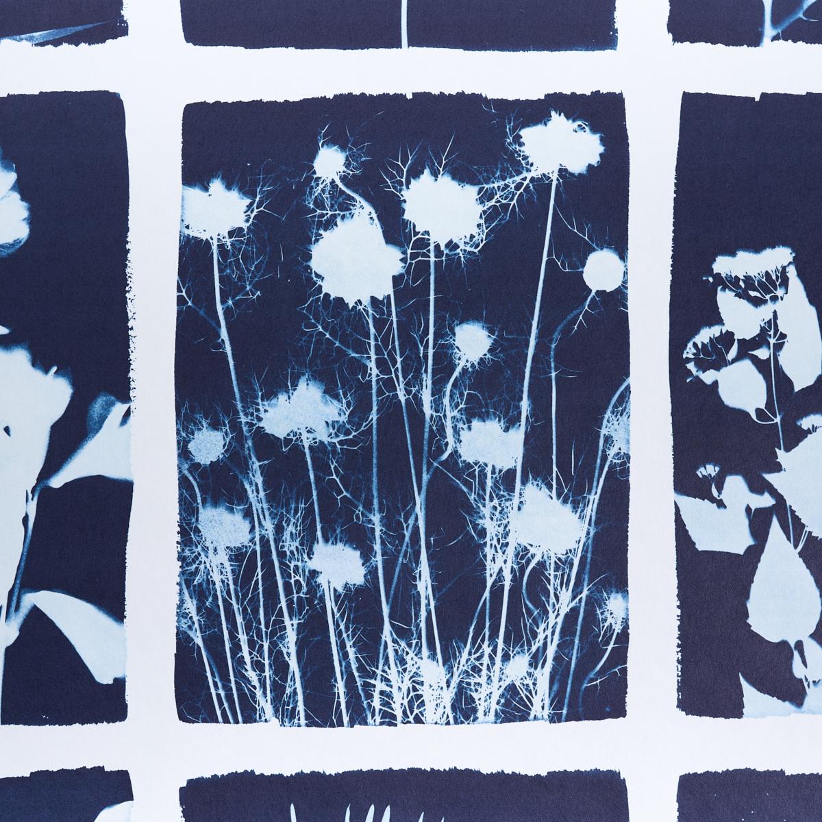 schumacher - cyanotype panel - 5013970