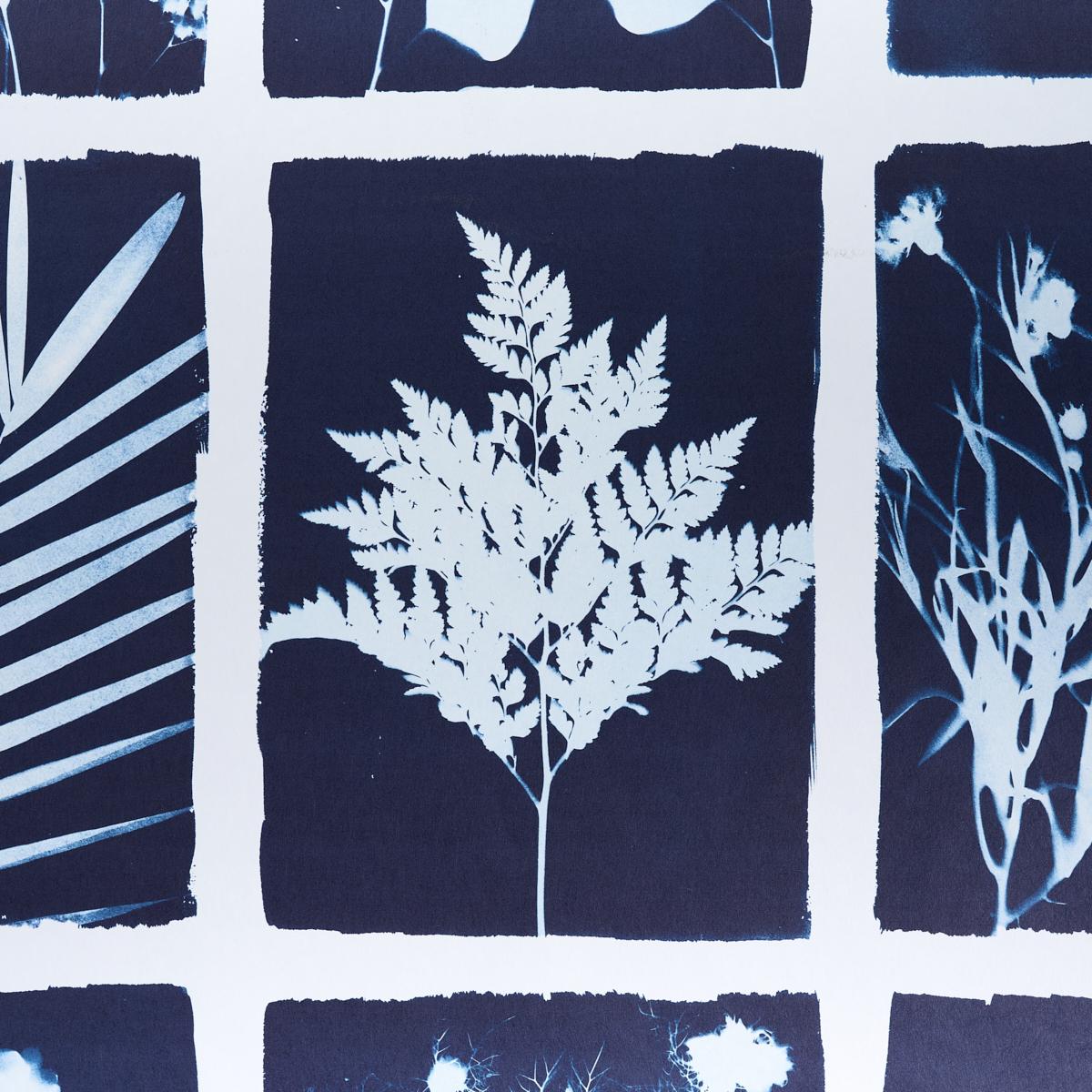 schumacher - cyanotype panel - 5013970