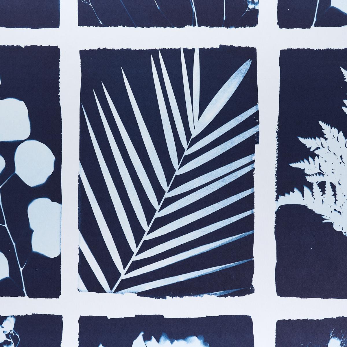 schumacher - cyanotype panel - 5013970