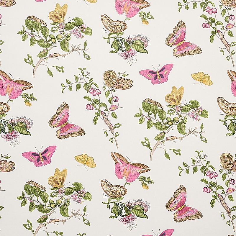 schumacher - baudin butterfly - 5010690