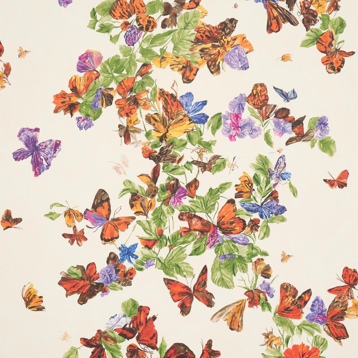 schumacher - pyne butterfly - 5016380