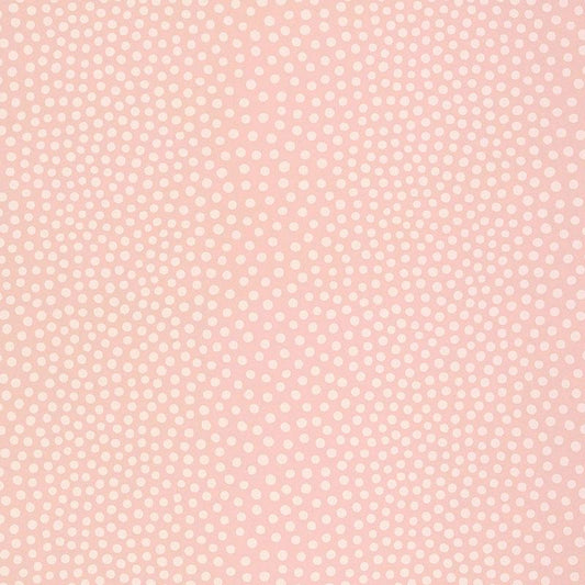 schumacher - Raindots - 5007500