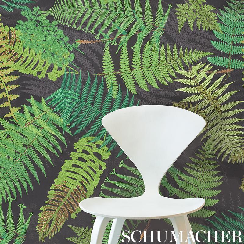 schumacher - fernarium - 5009190