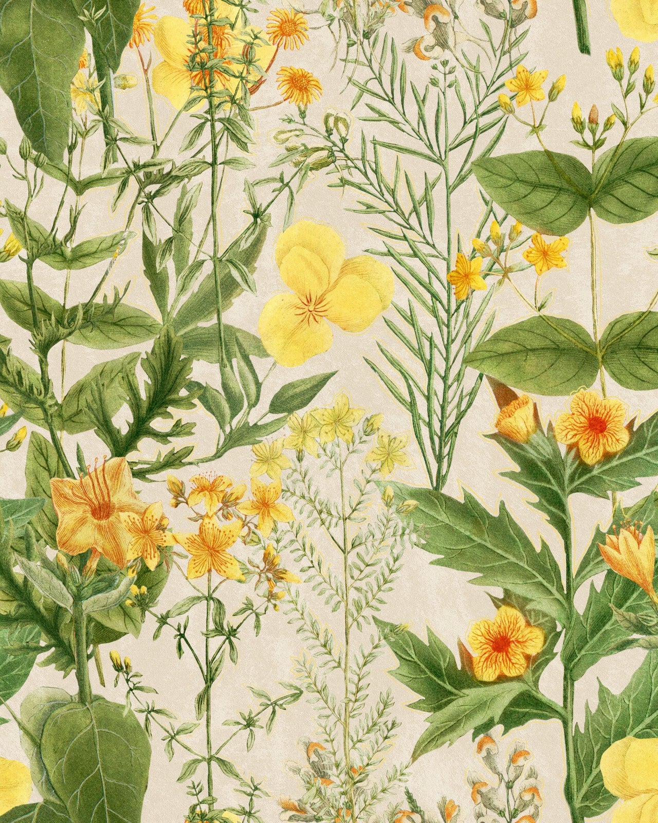 mimulus wallpaper