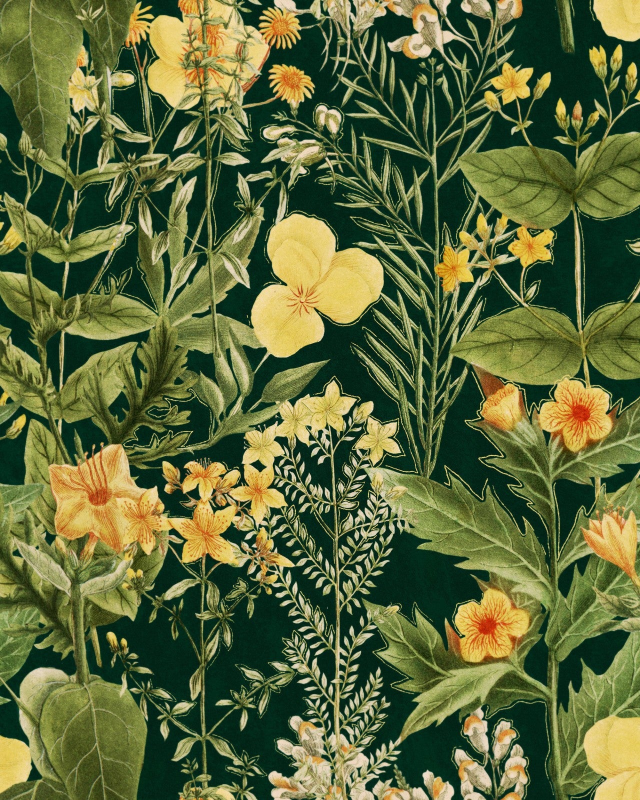 mimulus anthracite wallpaper