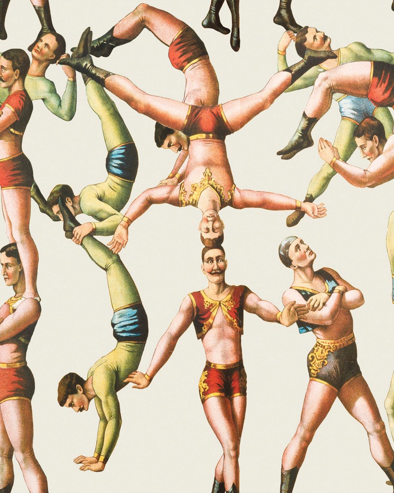 the acrobats wallpaper