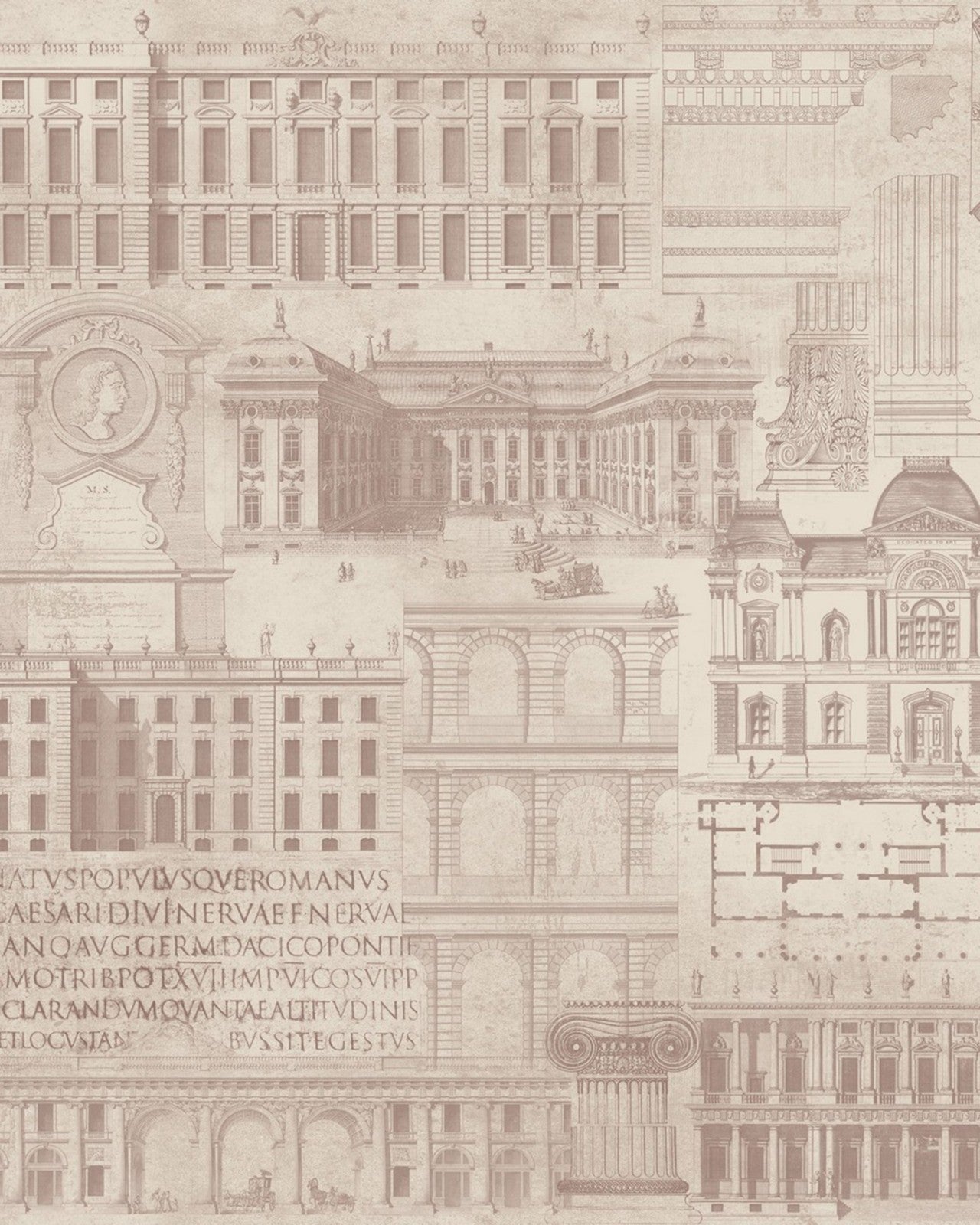 vitruvius taupe premium wallpaper