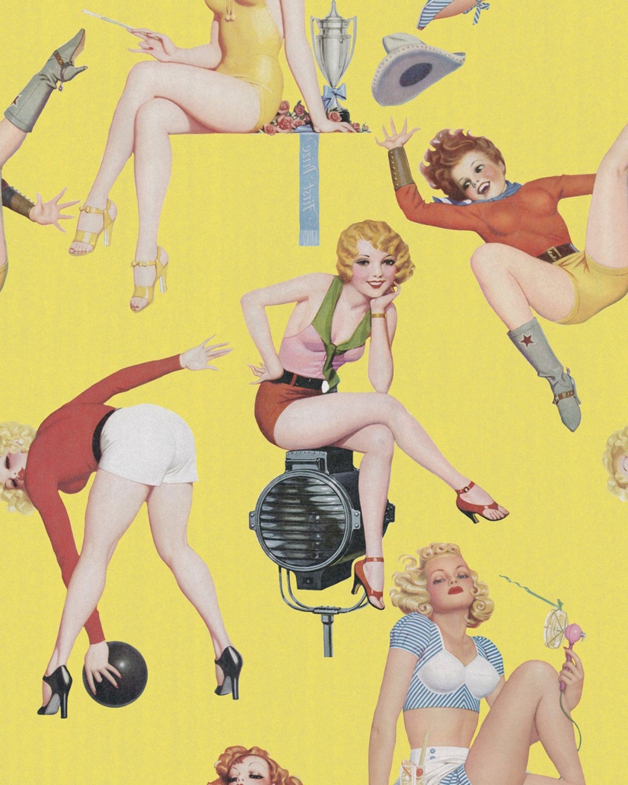 pin-up girls premium wallpaper