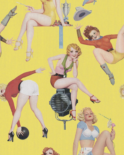 PIN-UP GIRLS Premium Wallpaper