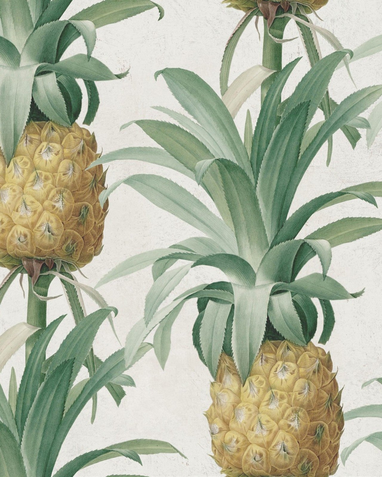 ananas premium wallpaper