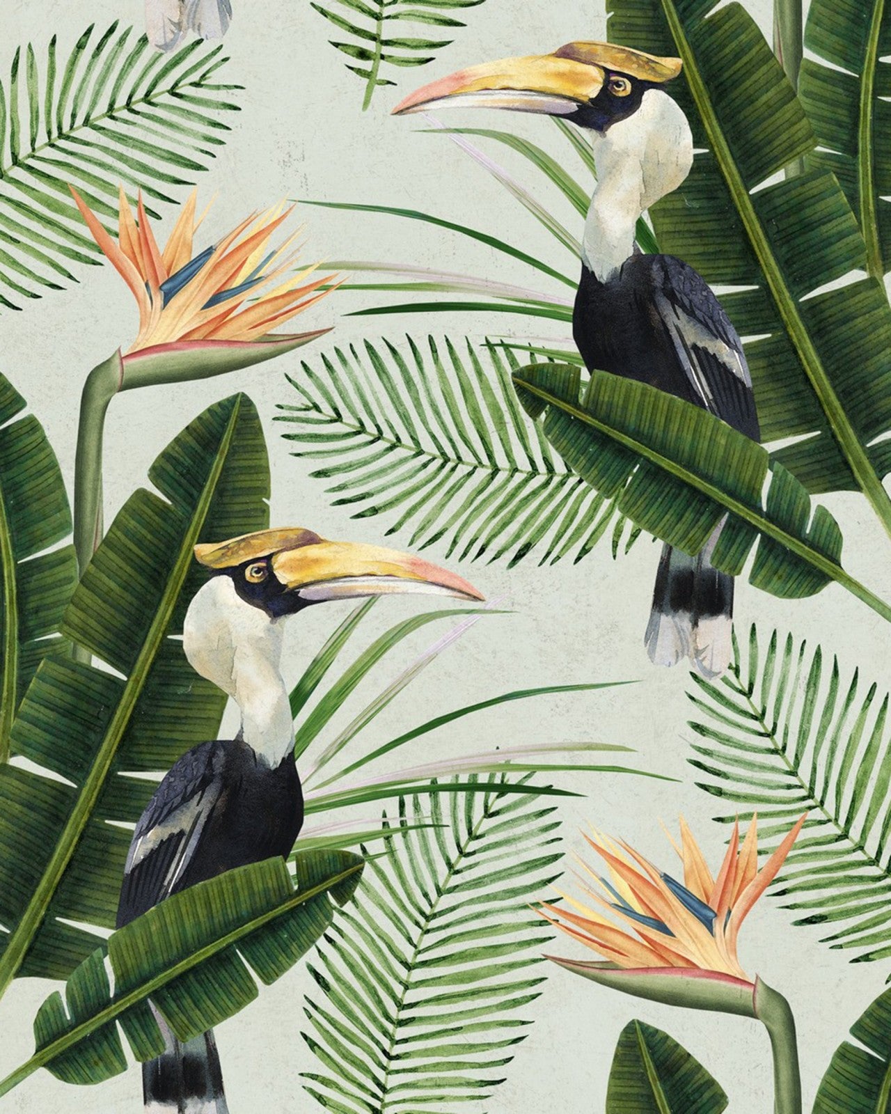 birds of paradise wallpaper