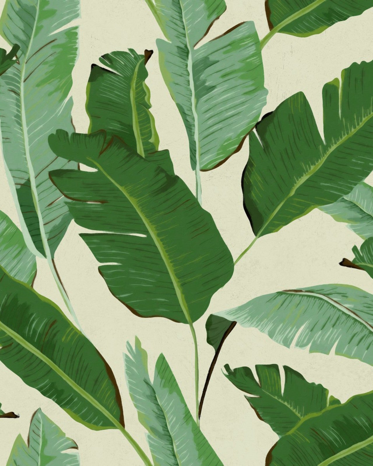 banana leaves  wallpaper