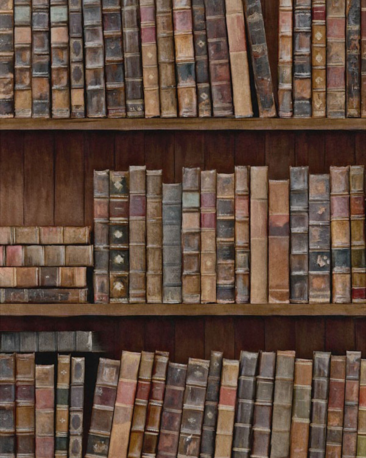 book shelves premium wallpaper