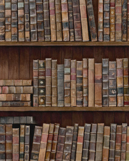 BOOK SHELVES Premium Wallpaper