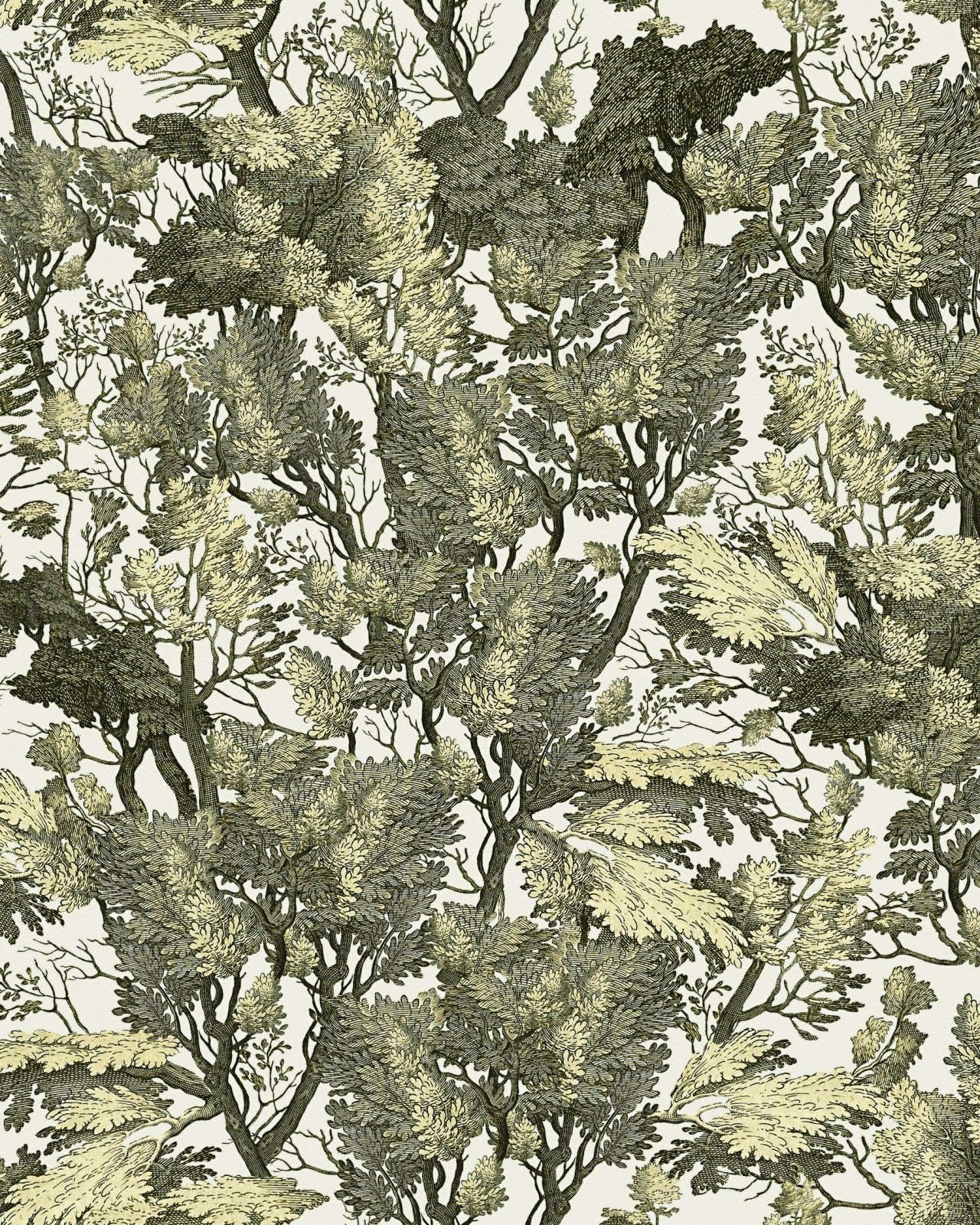 tree foliage wallpaper