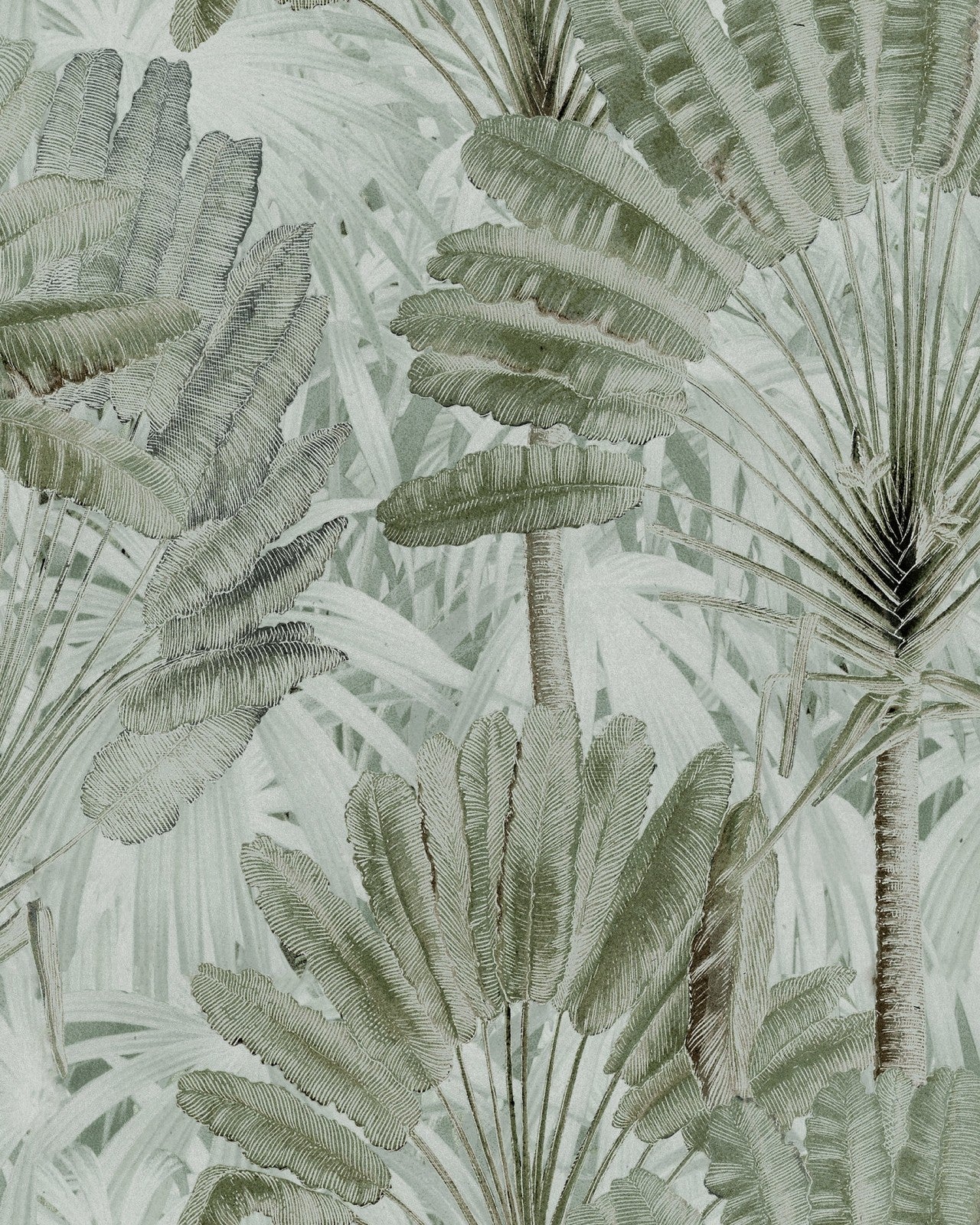 traveller's palm neutral wallpaper