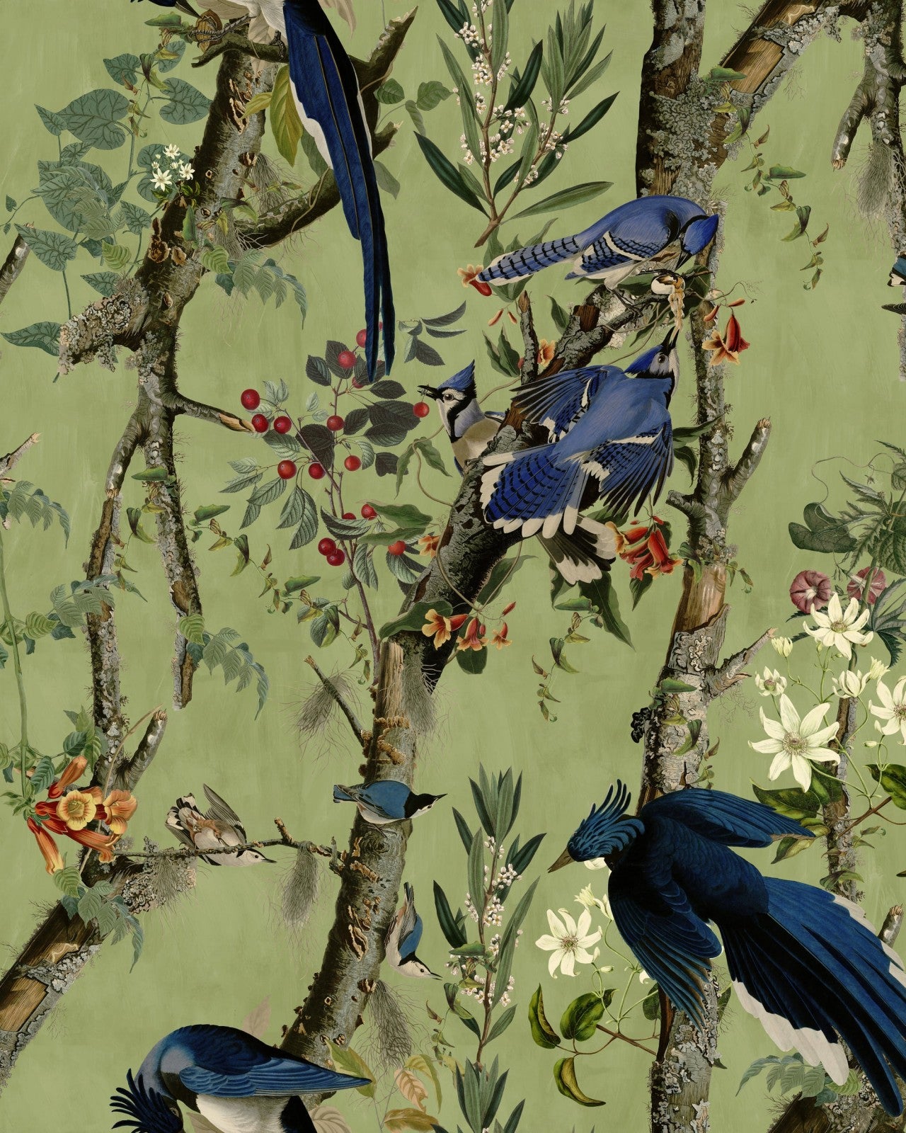 birds of danube wallpaper - mind the gap, sku wp20715