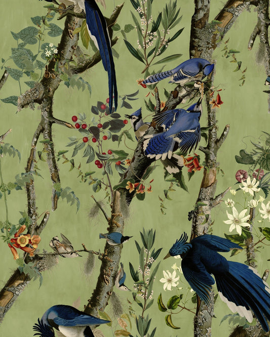 Birds of Danube Wallpaper - Mind the Gap, SKU WP20715