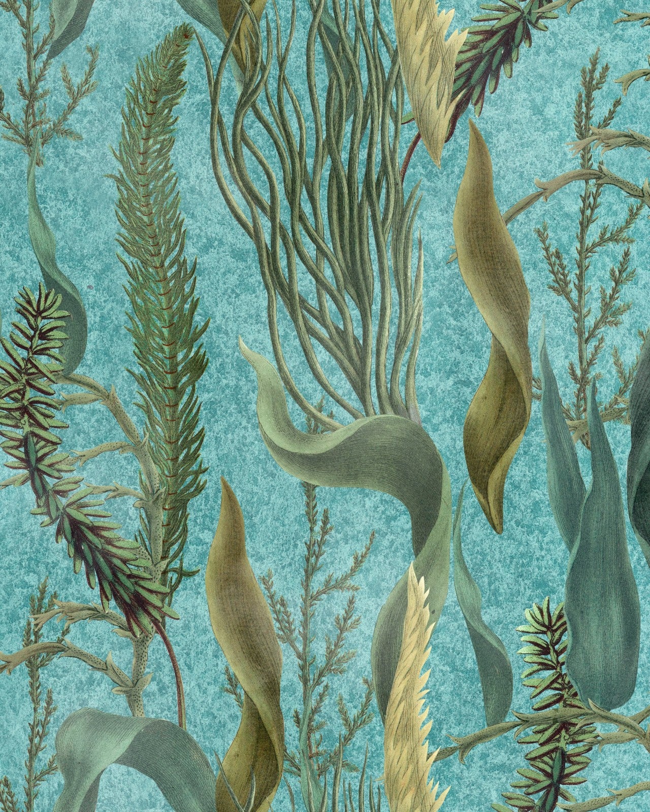 aquatic plants aquamarine wallpaper, mind the gap - sku: wp20716