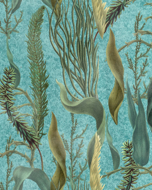 Aquatic Plants Aquamarine Wallpaper, Mind the Gap - SKU: WP20716