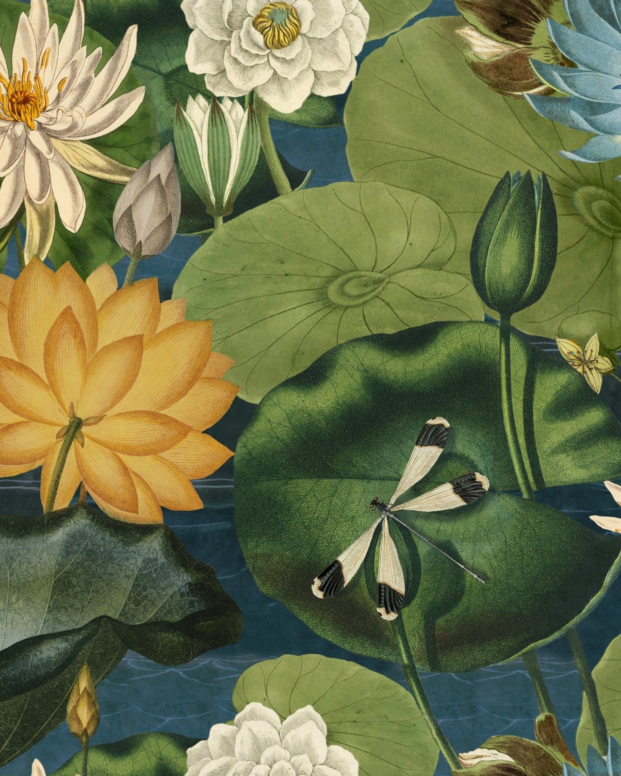 lotus blossom wallpaper, mind the gap - sku: wp20723